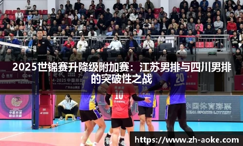 2025世锦赛升降级附加赛：江苏男排与四川男排的突破性之战